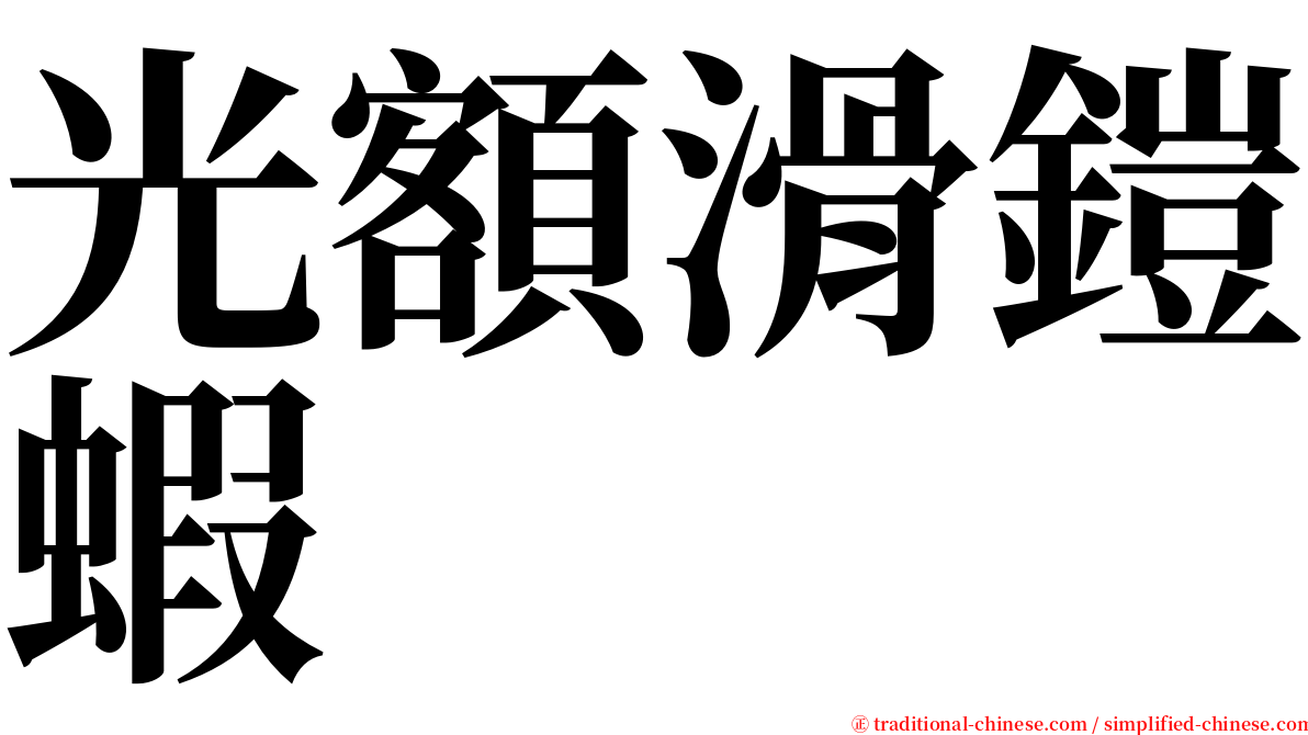 光額滑鎧蝦 serif font