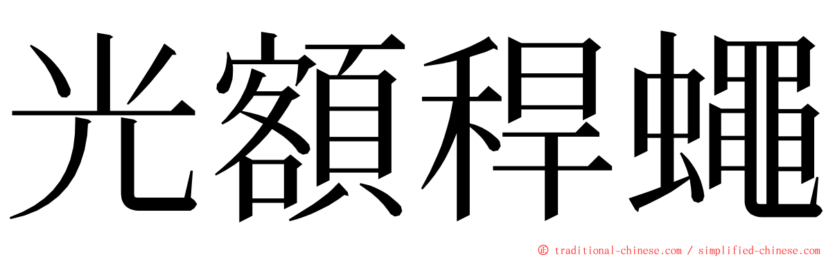 光額稈蠅 ming font