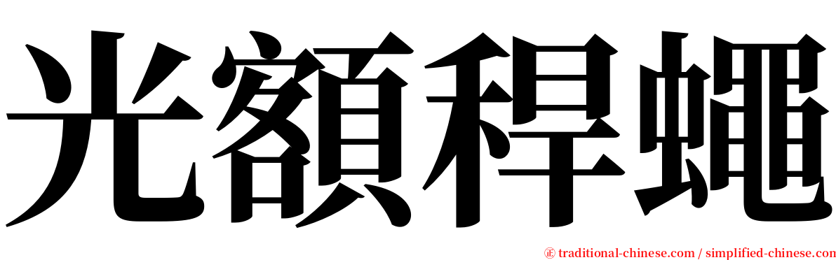 光額稈蠅 serif font