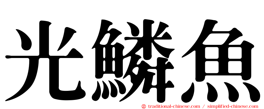 光鱗魚