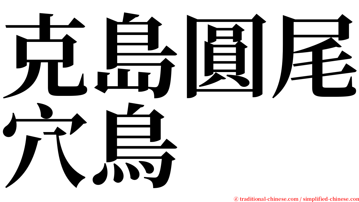 克島圓尾穴鳥 serif font