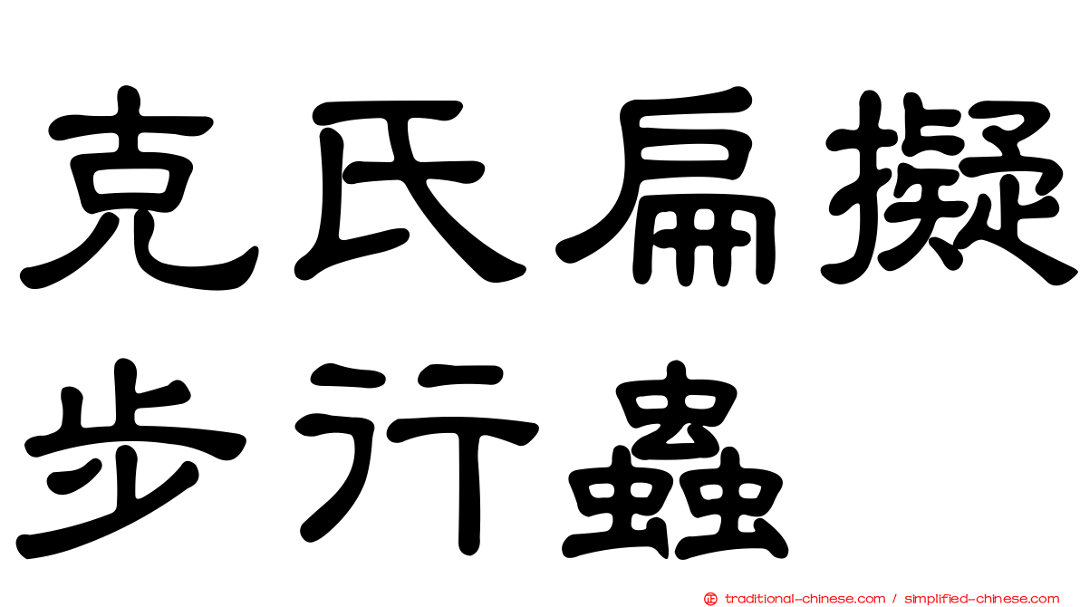 克氏扁擬步行蟲