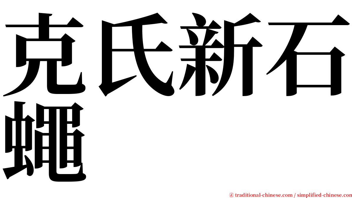 克氏新石蠅 serif font