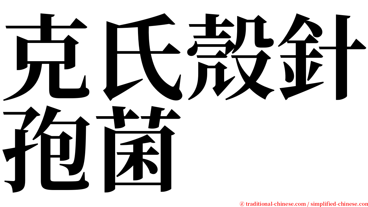 克氏殼針孢菌 serif font