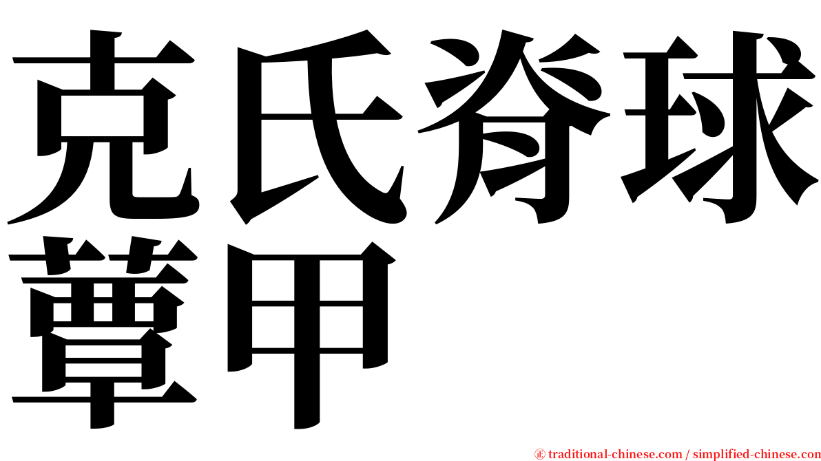 克氏脊球蕈甲 serif font