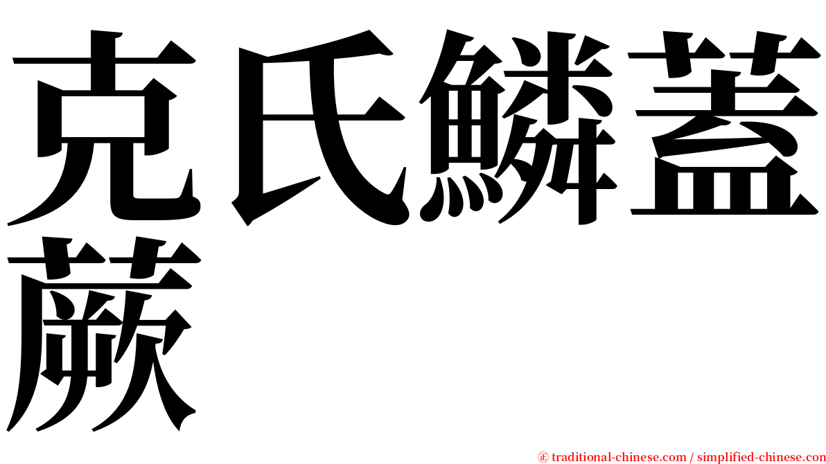 克氏鱗蓋蕨 serif font