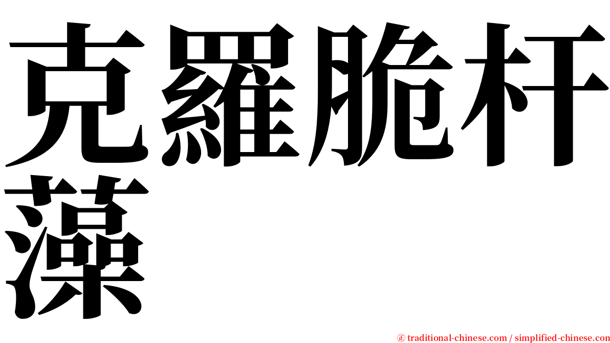 克羅脆杆藻 serif font