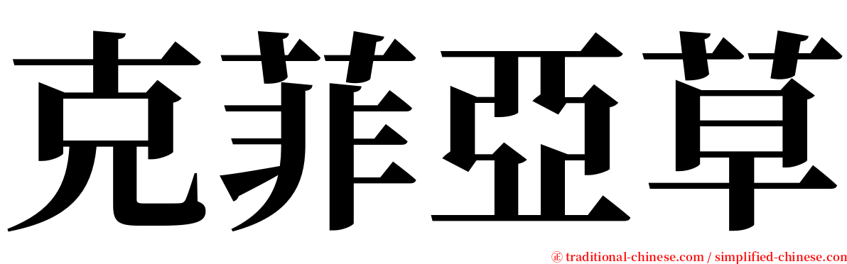 克菲亞草 serif font