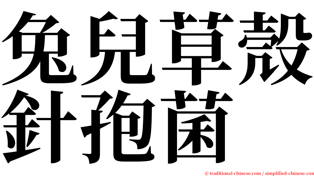 兔兒草殼針孢菌 serif font