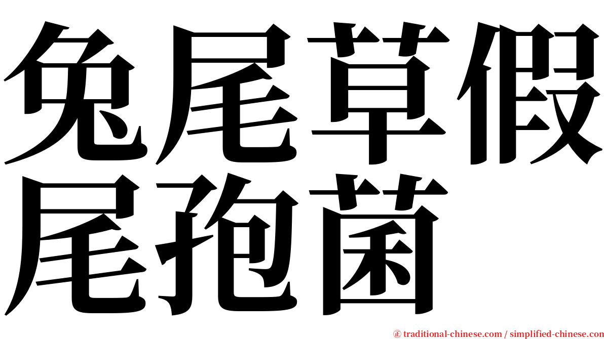 兔尾草假尾孢菌 serif font