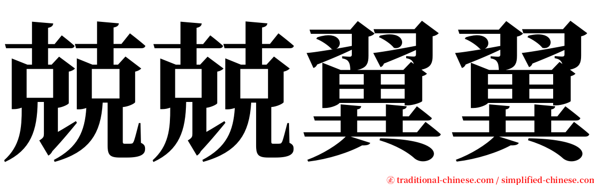 兢兢翼翼 serif font