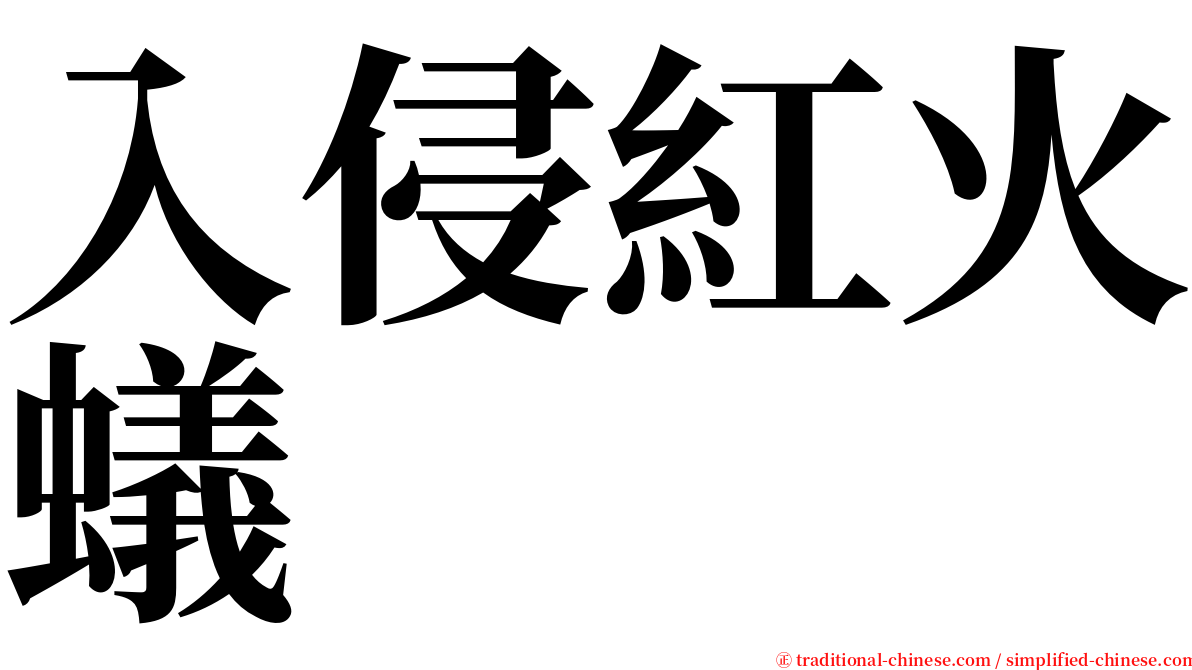 入侵紅火蟻 serif font