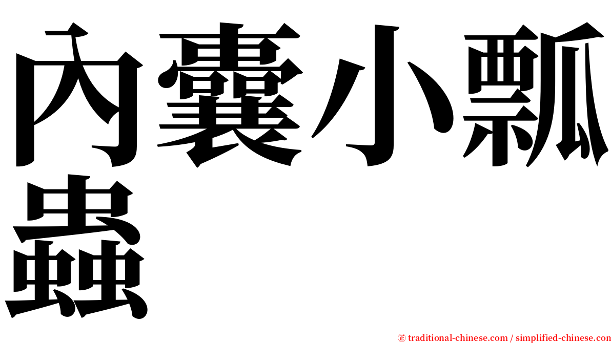 內囊小瓢蟲 serif font