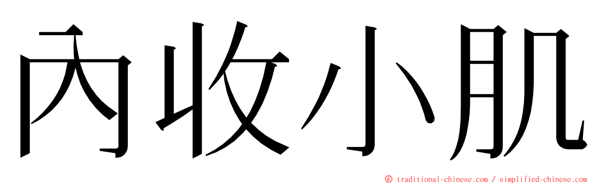 內收小肌 ming font