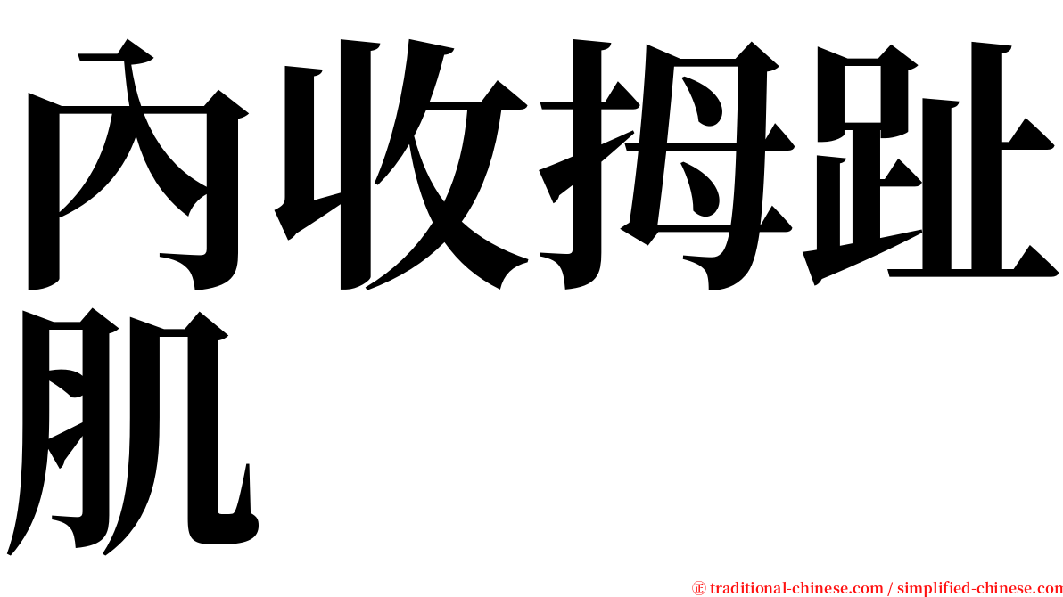 內收拇趾肌 serif font