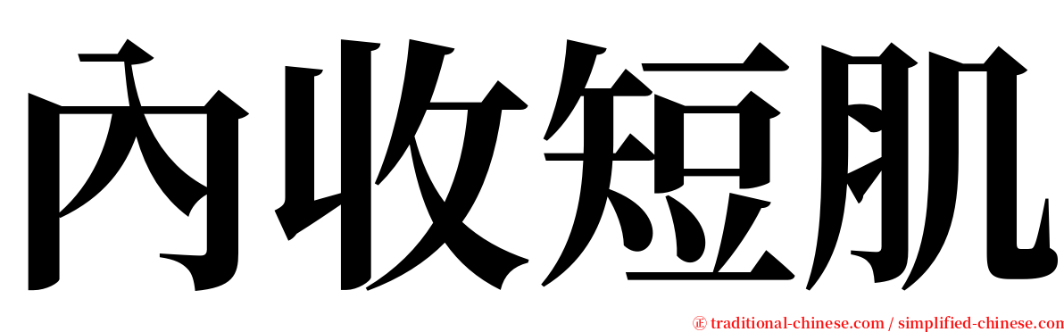 內收短肌 serif font