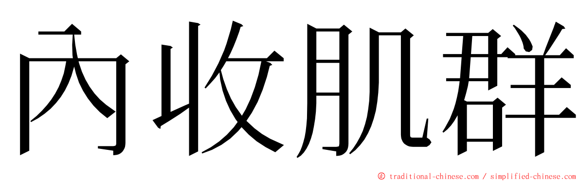 內收肌群 ming font
