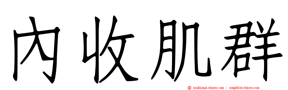 內收肌群