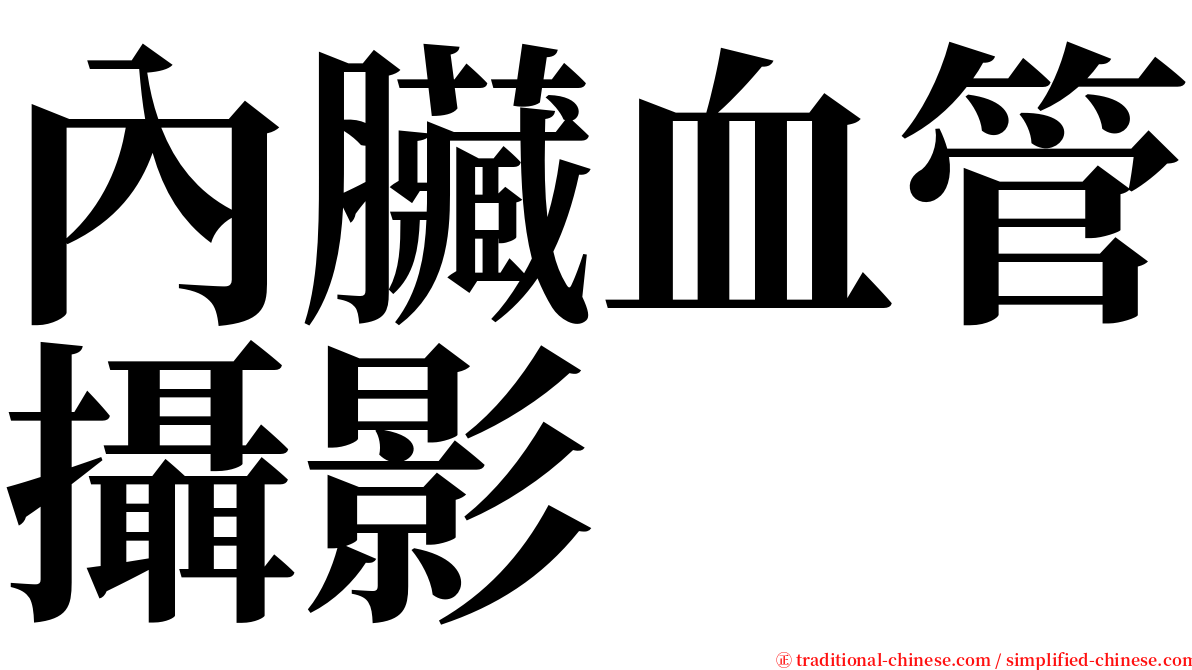 內臟血管攝影 serif font