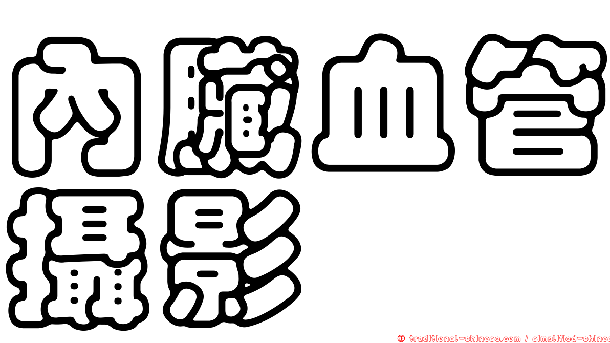 內臟血管攝影