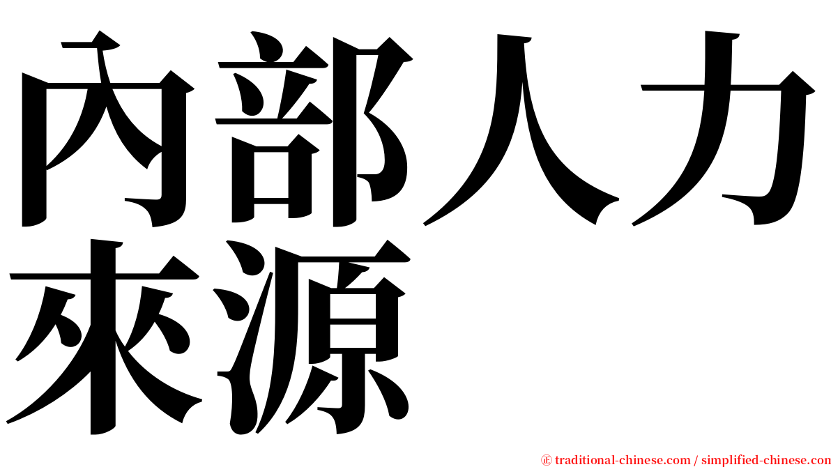 內部人力來源 serif font