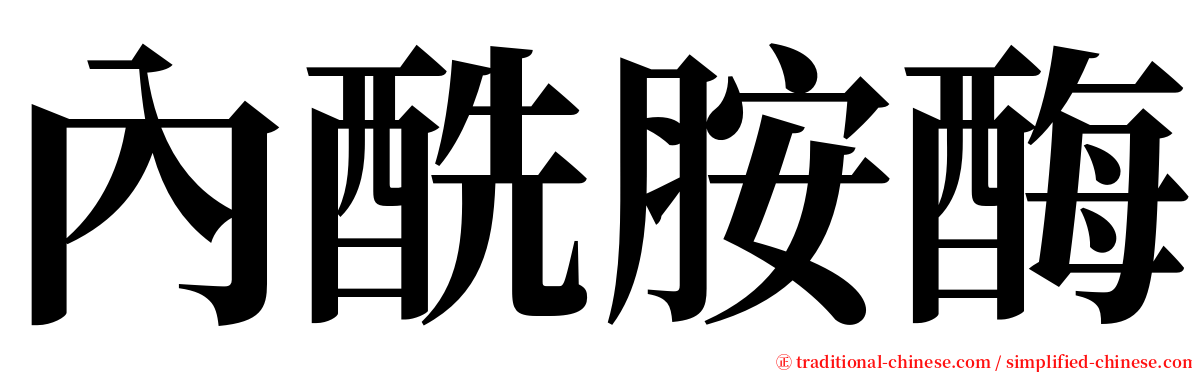 內酰胺酶 serif font