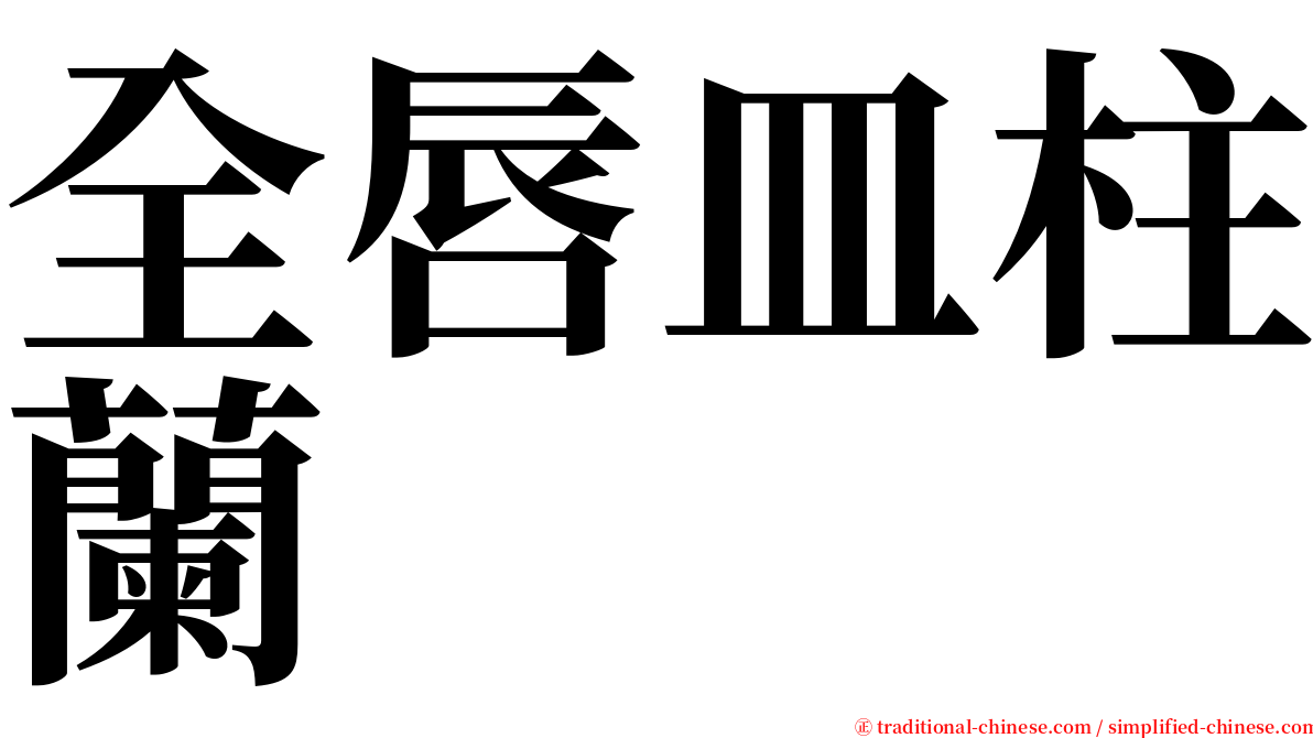 全唇皿柱蘭 serif font