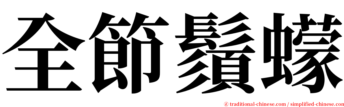 全節鬚蠓 serif font