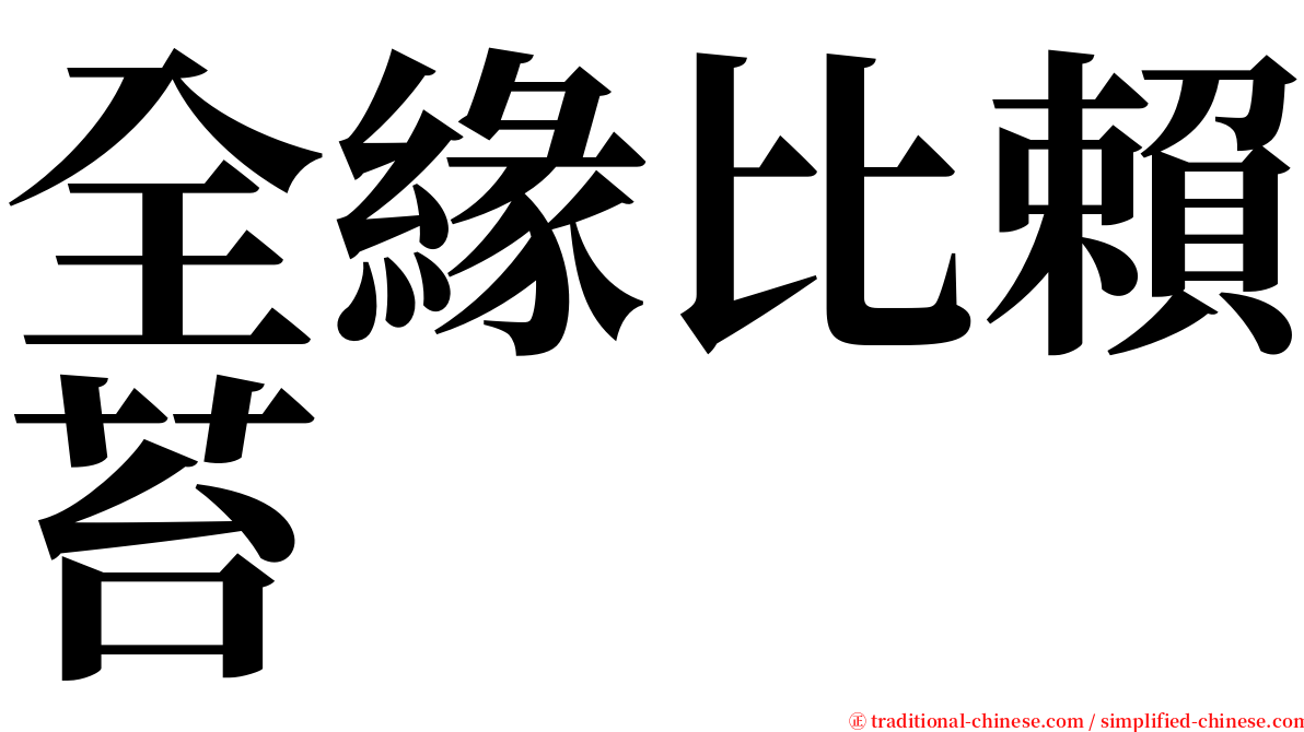 全緣比賴苔 serif font