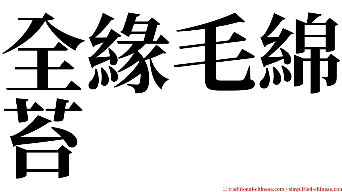 全緣毛綿苔 serif font