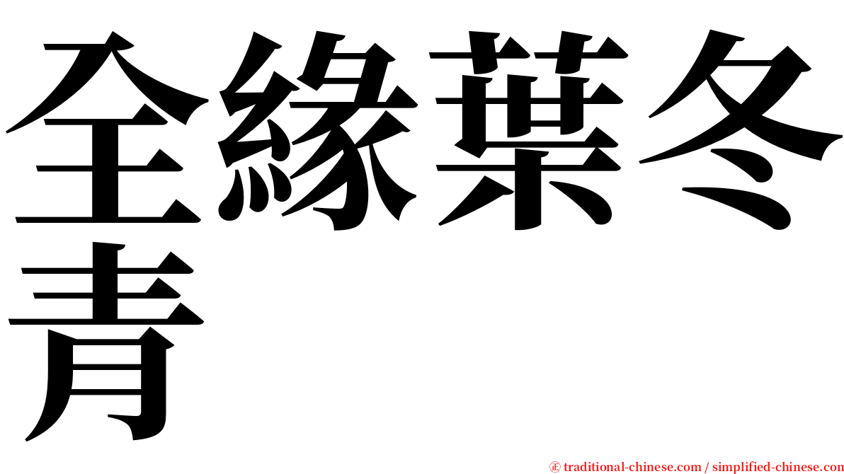 全緣葉冬青 serif font