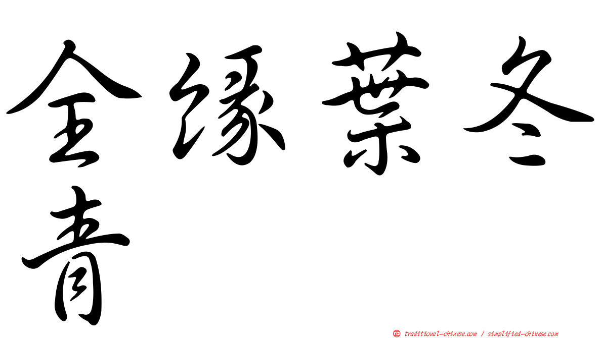 全緣葉冬青