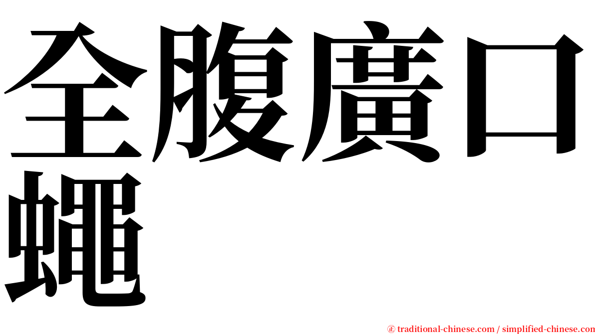 全腹廣口蠅 serif font