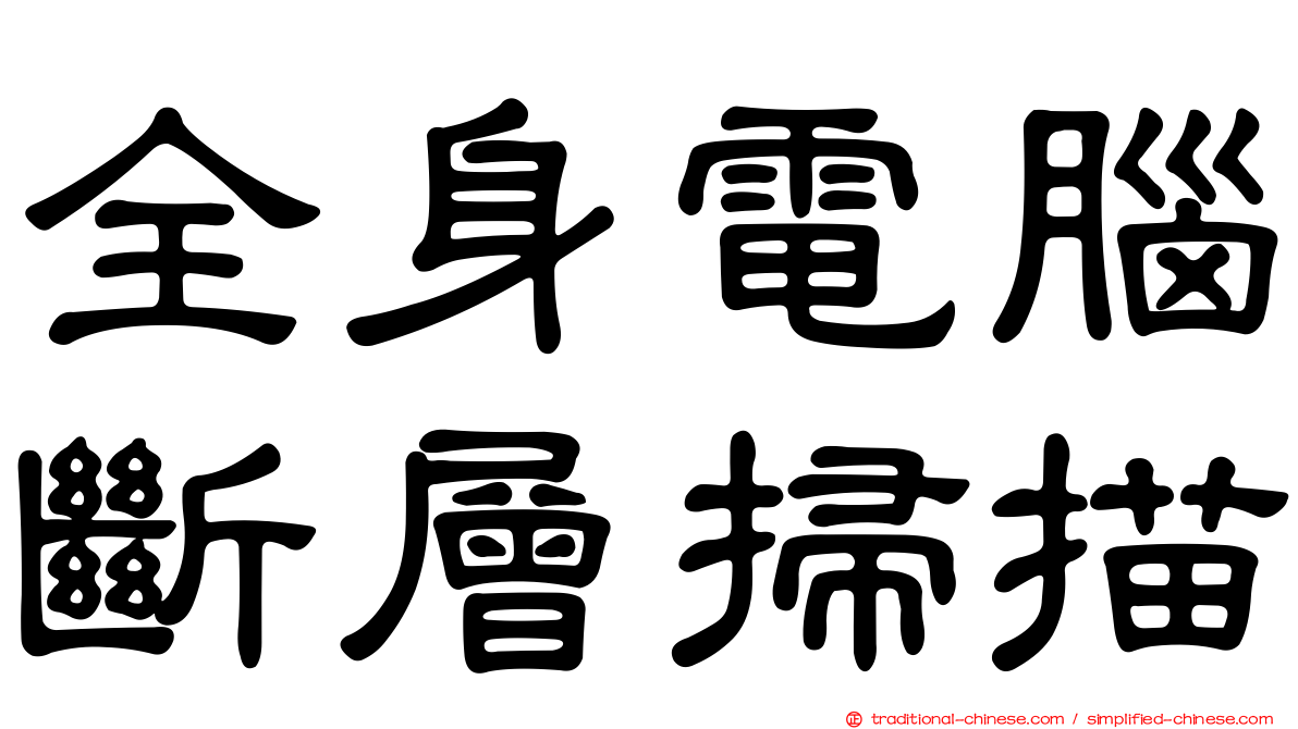 全身電腦斷層掃描