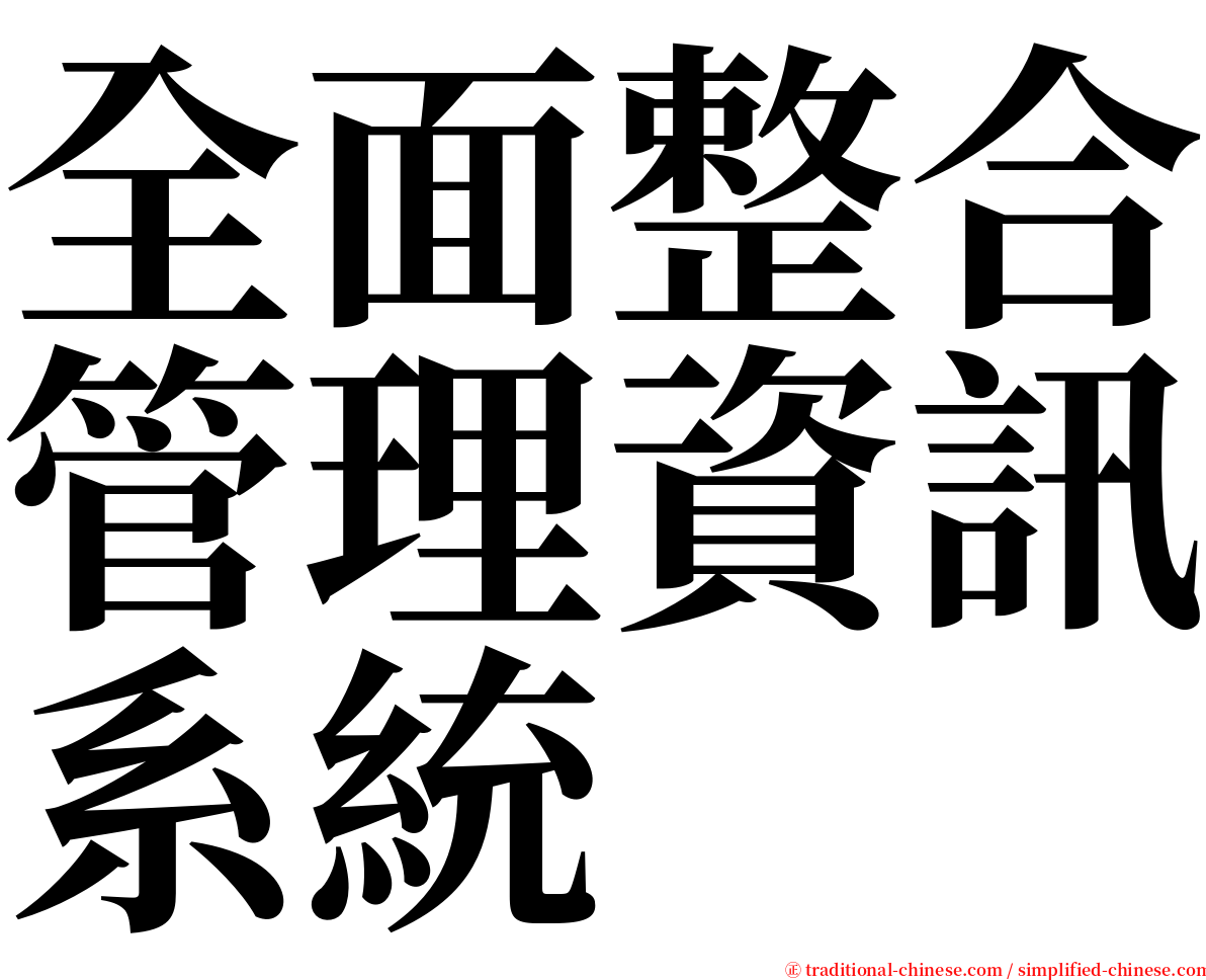 全面整合管理資訊系統 serif font