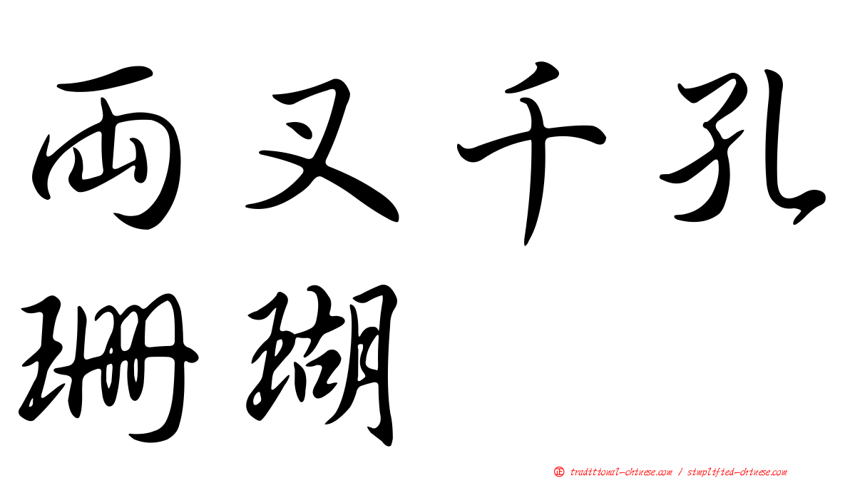 兩叉千孔珊瑚