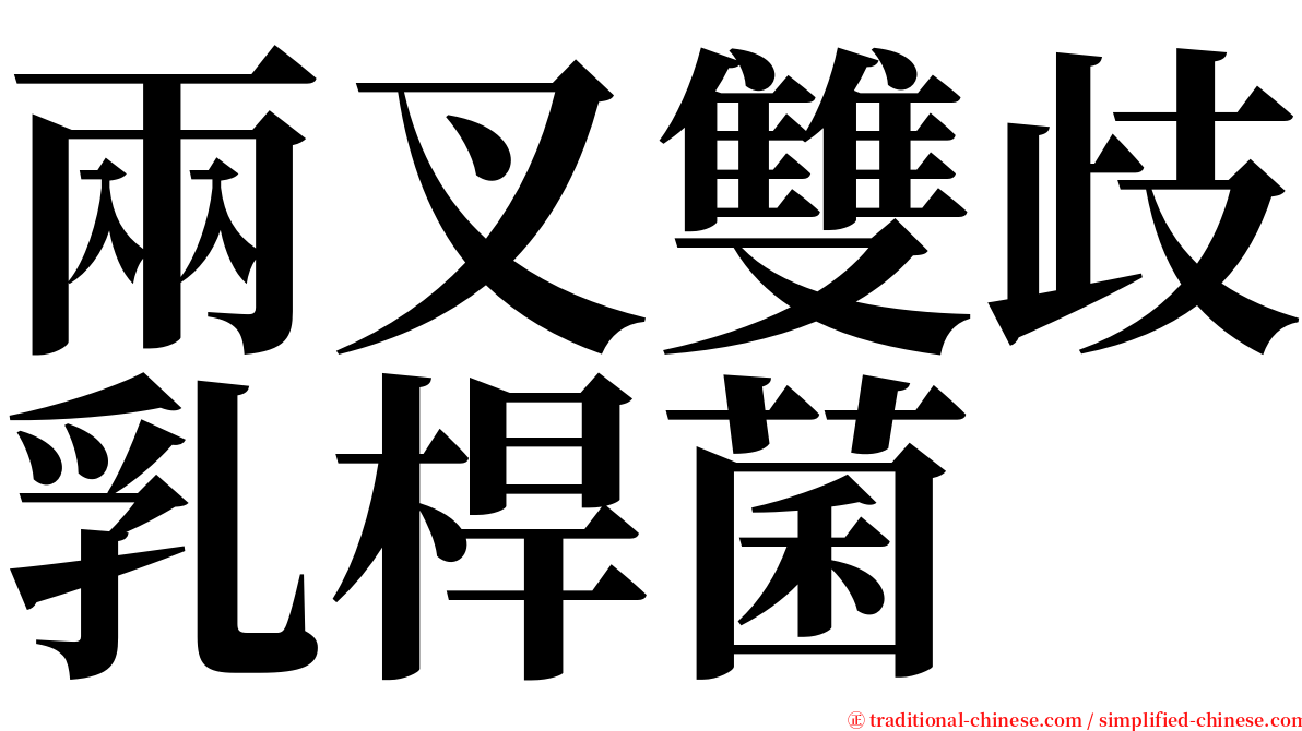 兩叉雙歧乳桿菌 serif font