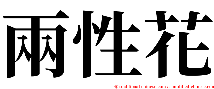 兩性花 serif font