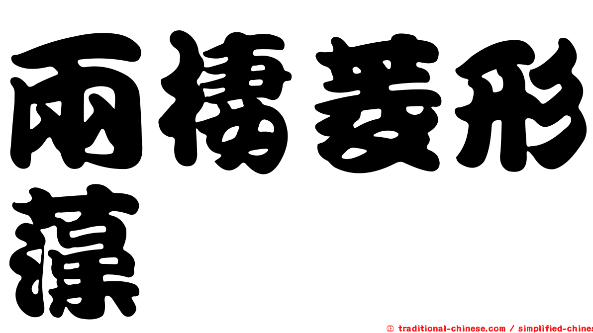 兩棲菱形藻