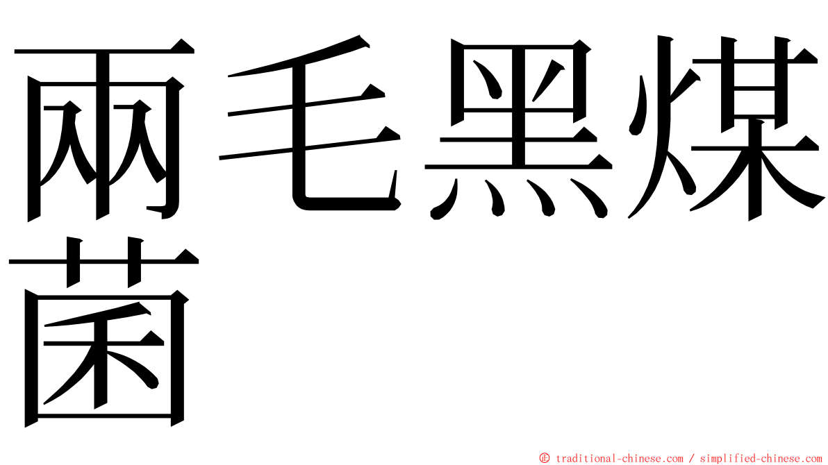 兩毛黑煤菌 ming font