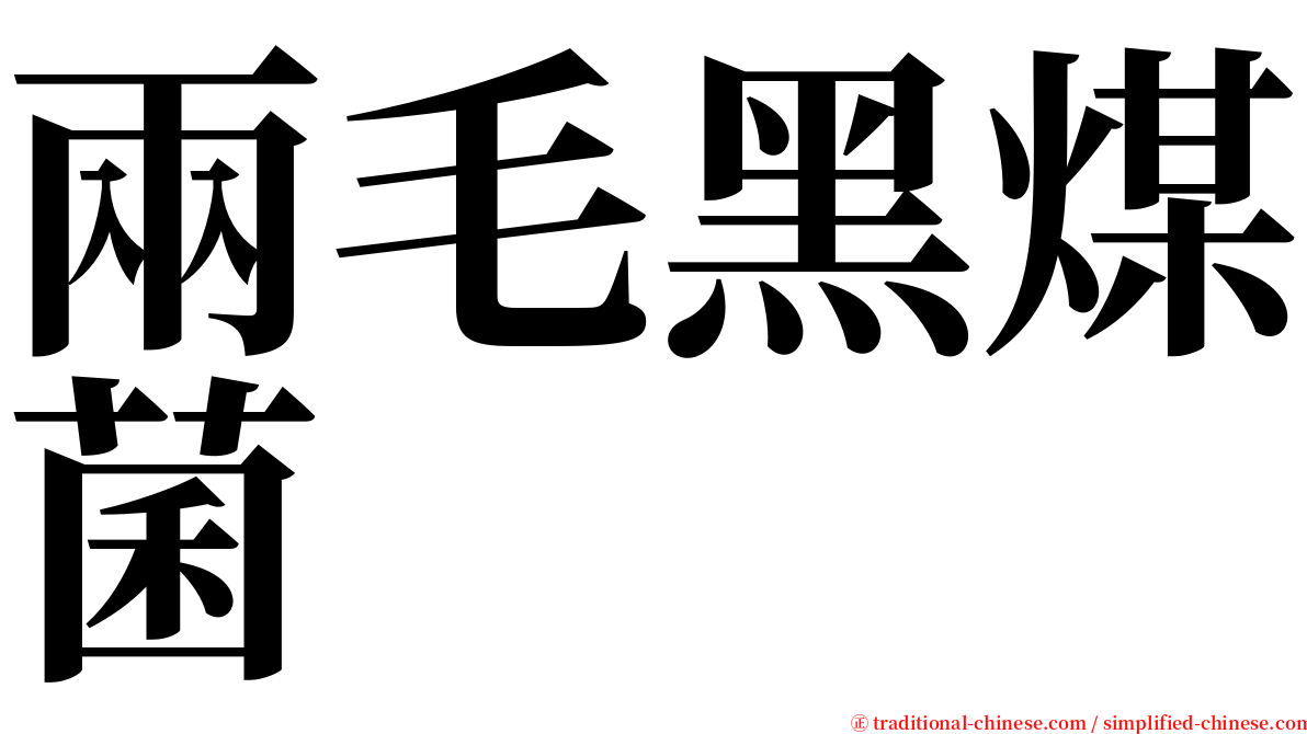兩毛黑煤菌 serif font