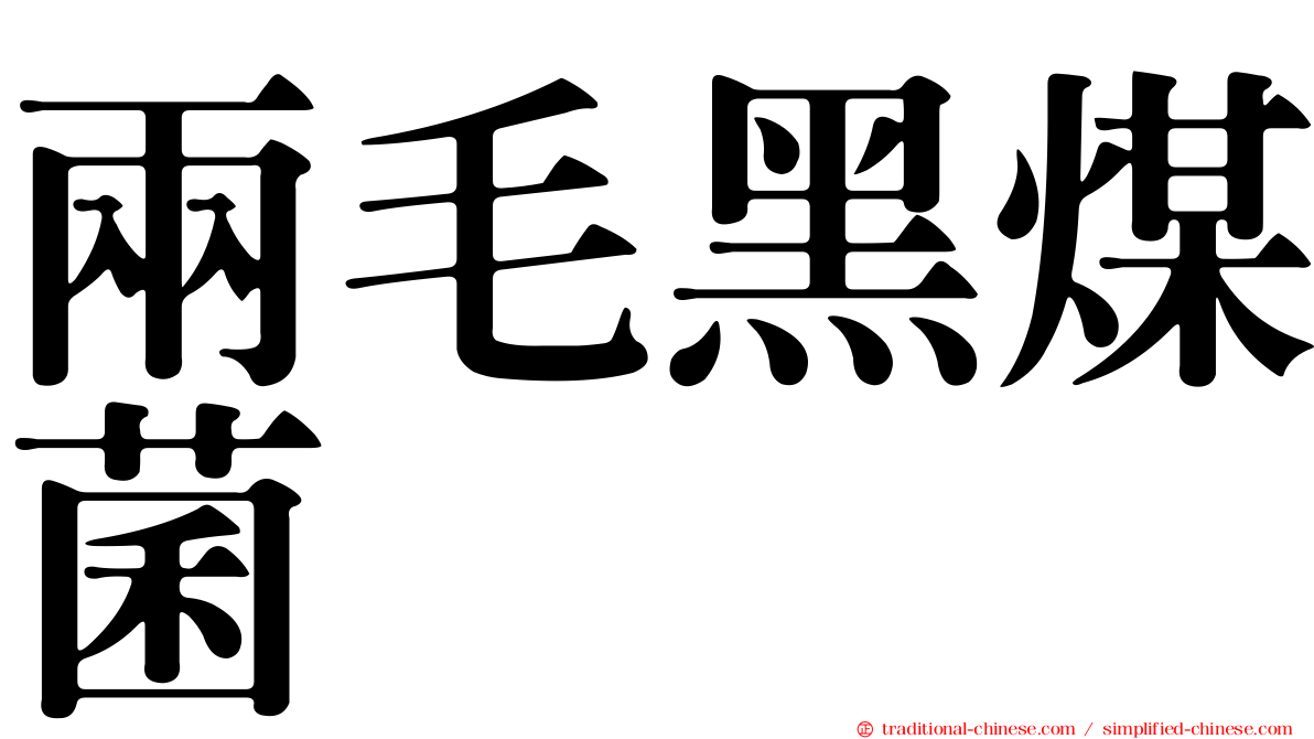 兩毛黑煤菌