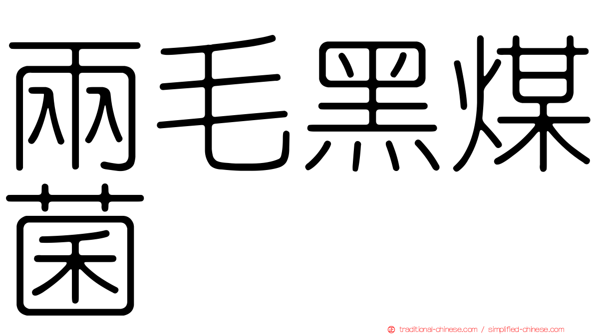 兩毛黑煤菌