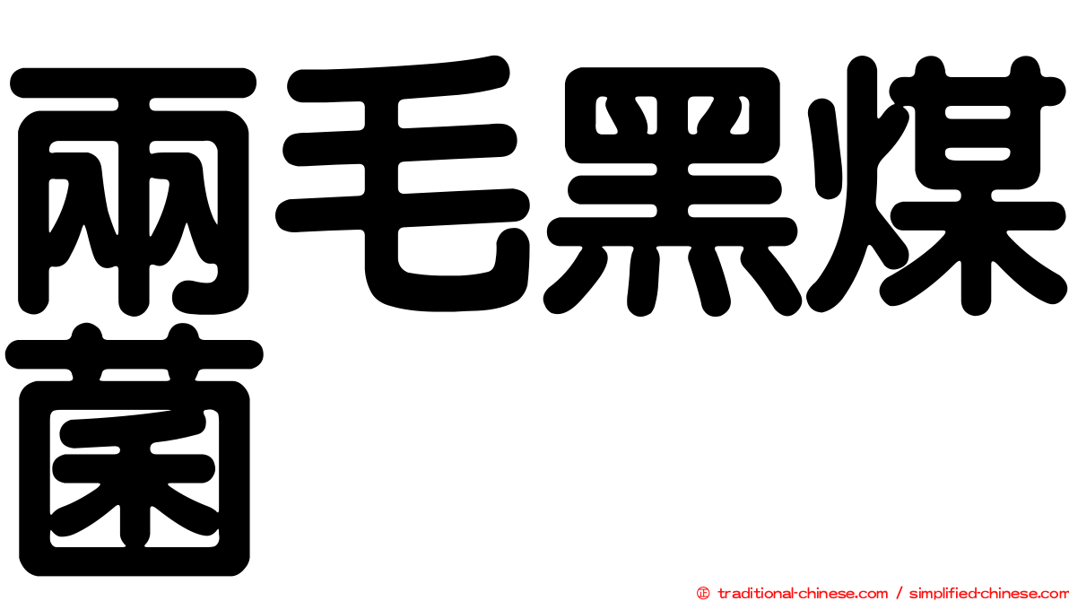 兩毛黑煤菌