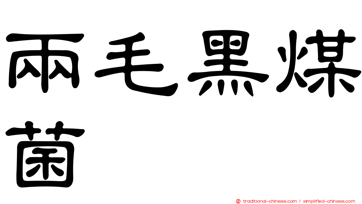 兩毛黑煤菌