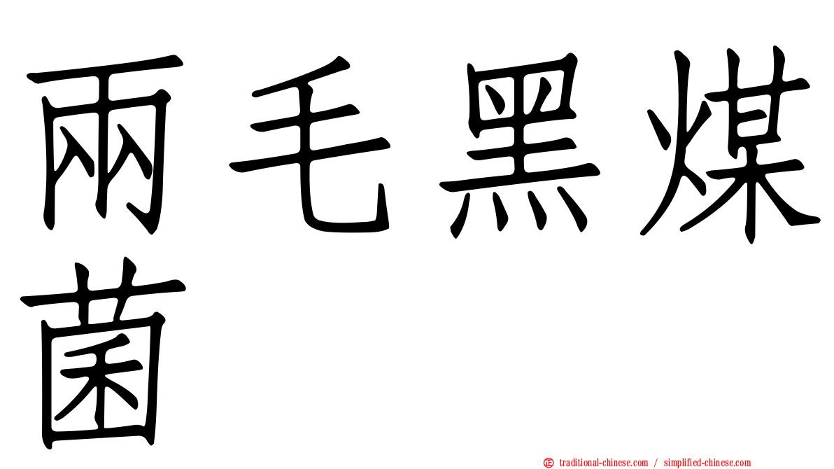 兩毛黑煤菌