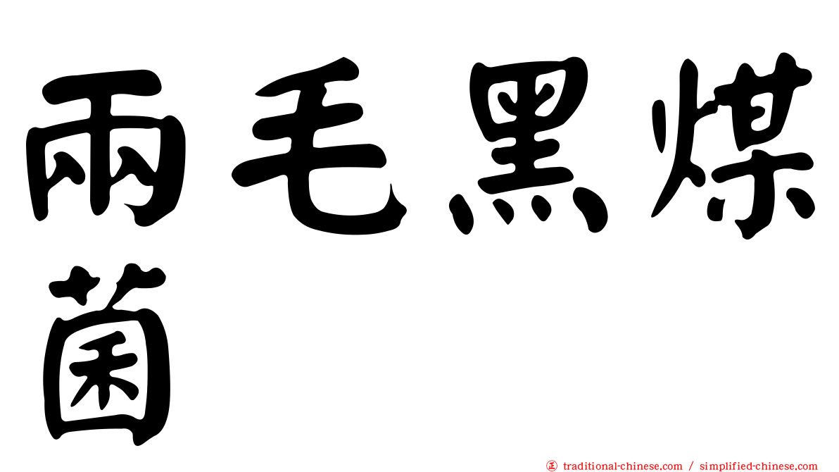 兩毛黑煤菌
