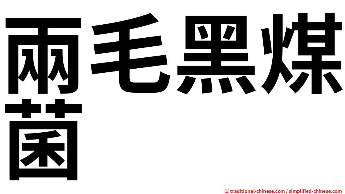 兩毛黑煤菌