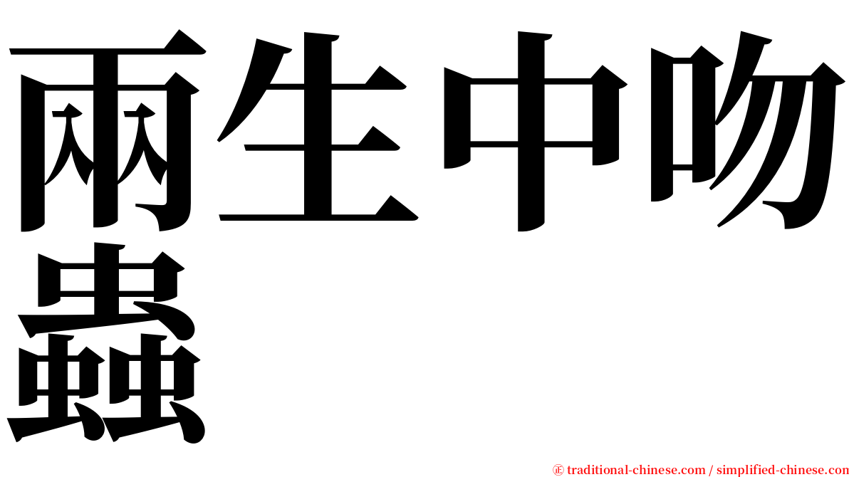 兩生中吻蟲 serif font