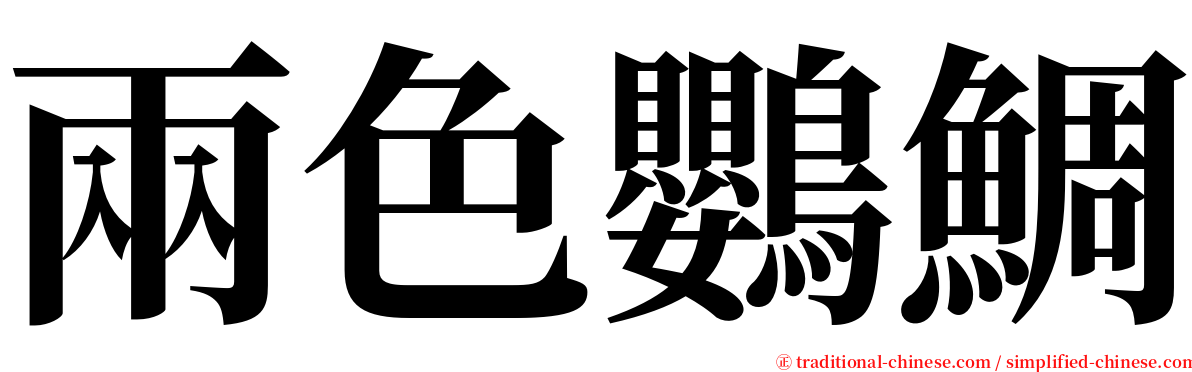 兩色鸚鯛 serif font